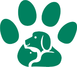 Dry Paws