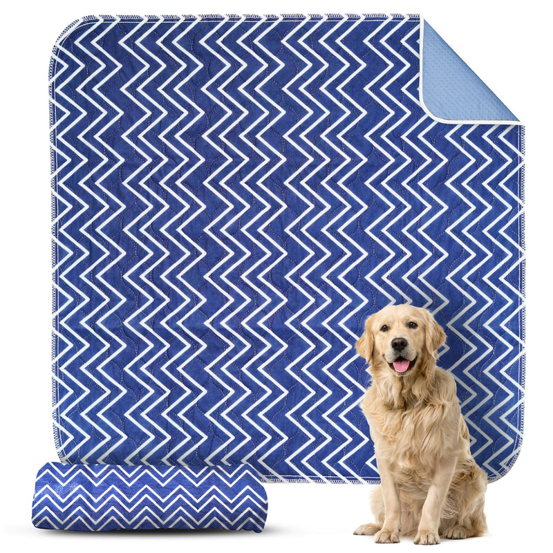 Blue Waves Puppy Pad - Dry Paws