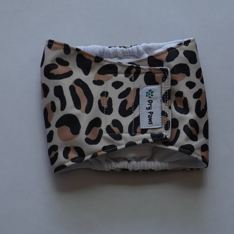 Leopard Male Doggy Diaper (2 Pack) - Dry Paws