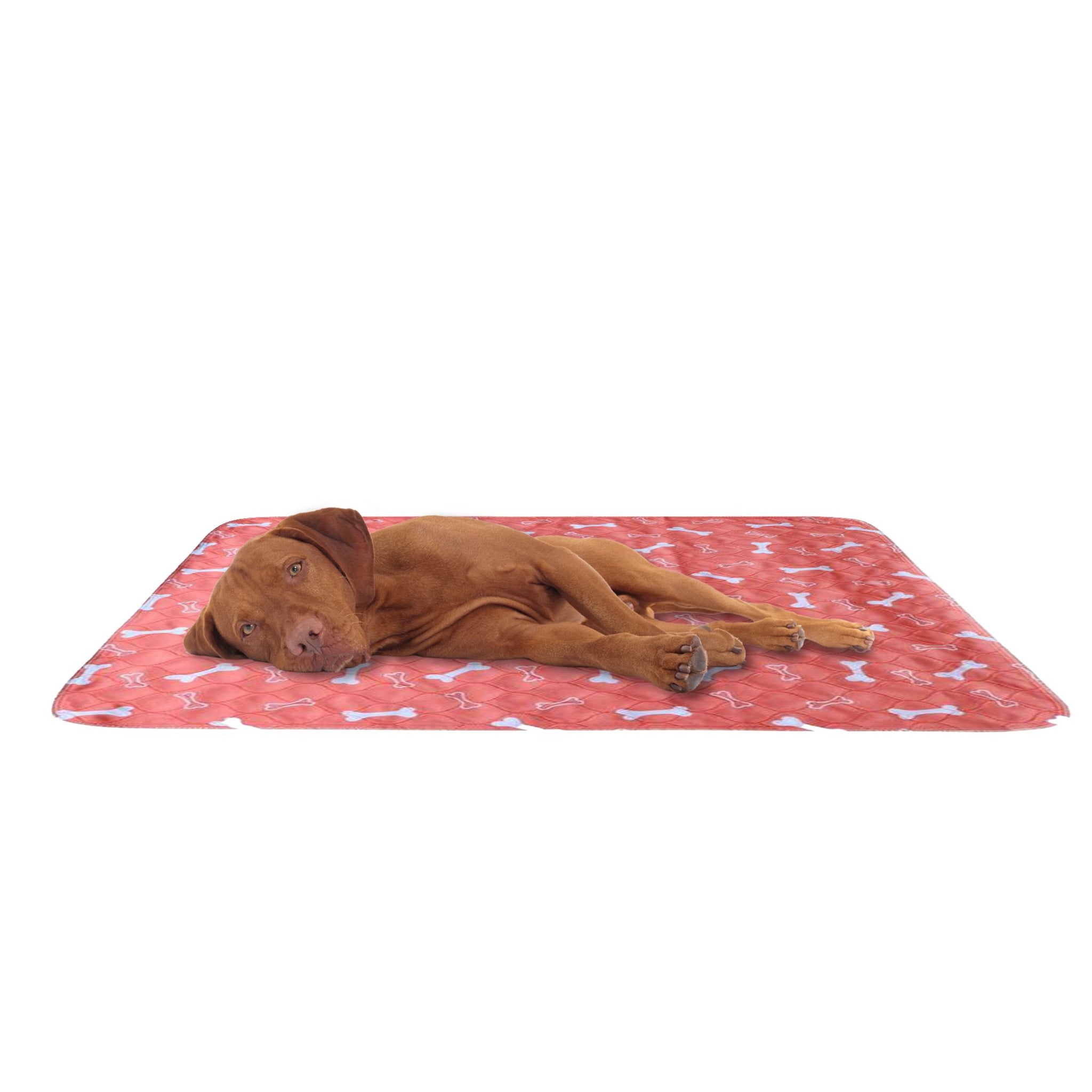 Orange Reusable Puppy Pad1